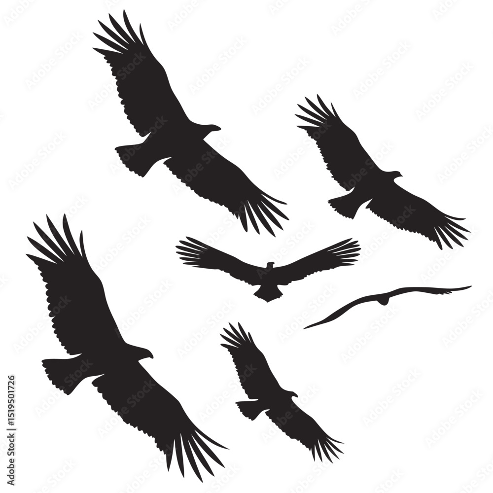 Fototapeta premium Eagle silhouettes in flight against white background vector illustration template