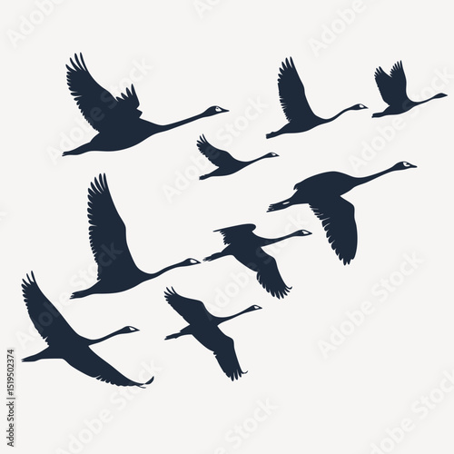Elegant swan silhouettes flock flying in formation against a minimalist background