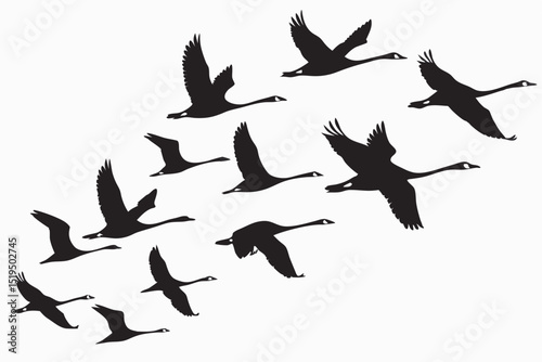 Flock of geese flying silhouette on white background migration season concept