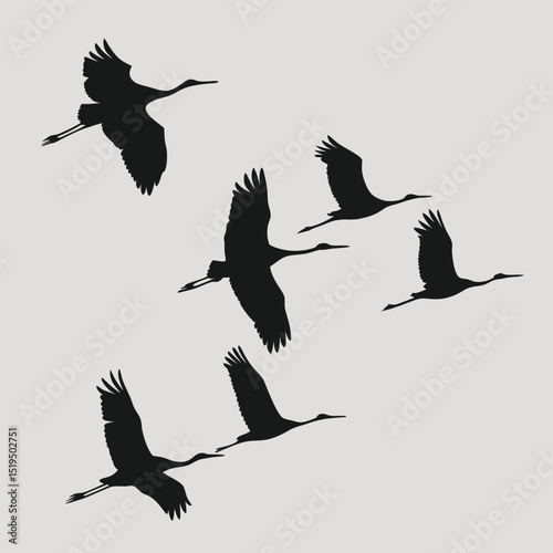 Flying cranes silhouette vector illustration graceful birds in flight against neutral background