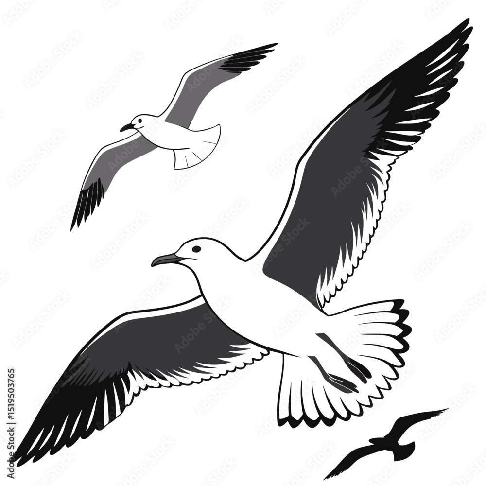 Obraz premium Seagull birds flying illustration vector graphics artistic avian design black and white