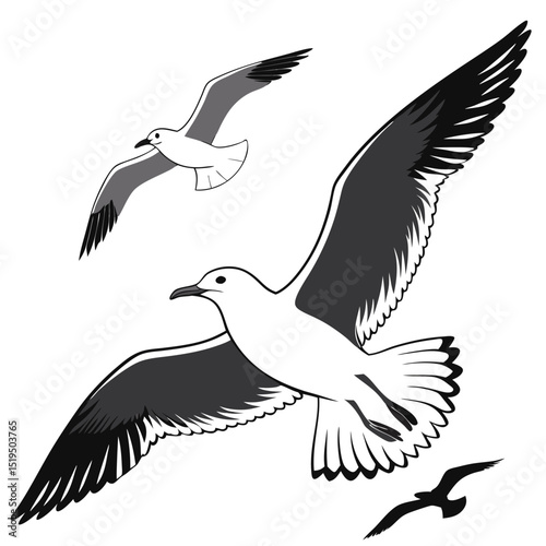 Seagull birds flying illustration vector graphics artistic avian design black and white