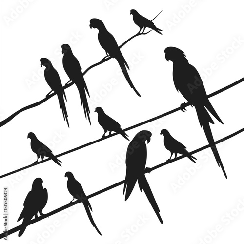 Silhouetted birds on branches and wires black and white vector illustration