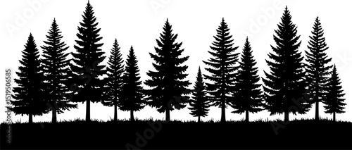 different type of Vintage forest pine trees with ground soil silhouette
