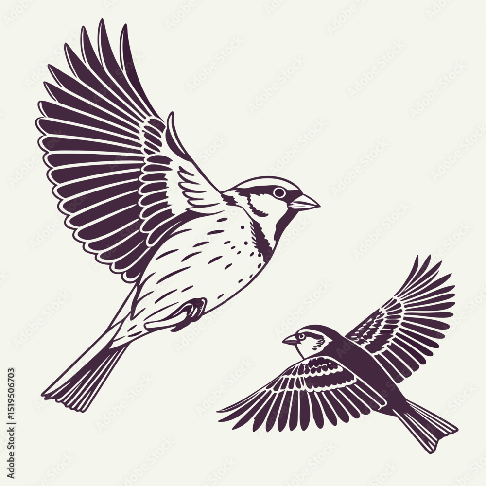 Fototapeta premium Sparrow bird illustrations in flight,vintage style vector graphic design element