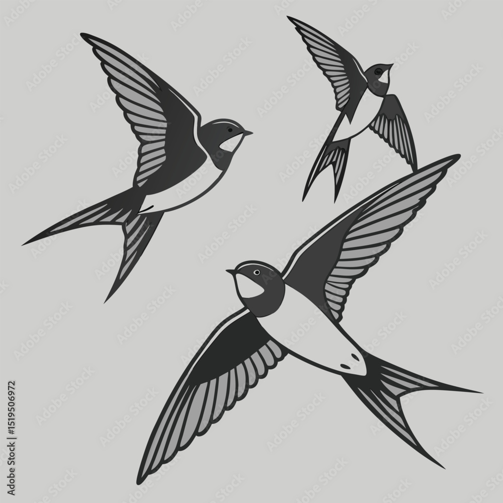 Obraz premium Stylized swallow birds flock vintage tattoo style design vector illustration