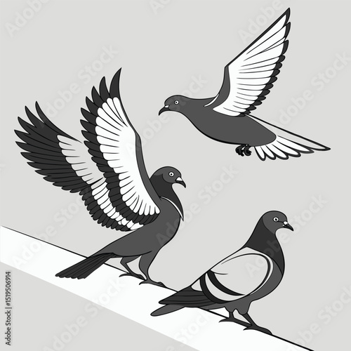 Stylized pigeons in various poses vector illustration in grayscale tones