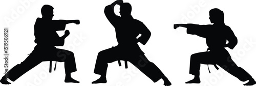Three karate practitioners in silhouette performing stances and punches on a white background