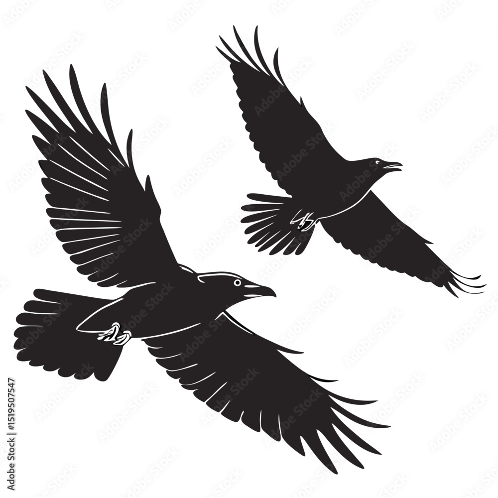 Obraz premium Two black ravens flying in opposite directions silhouette style vector