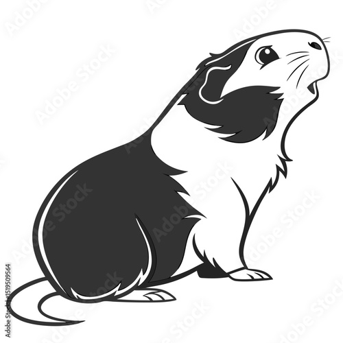 Cute guinea pig illustration black and white pet animal design