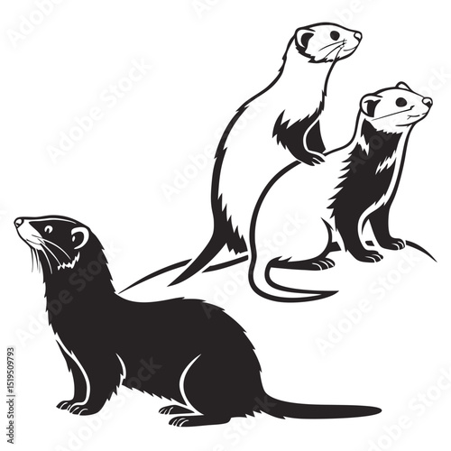 Elegant black and white ferret silhouette vector illustration isolated on white background