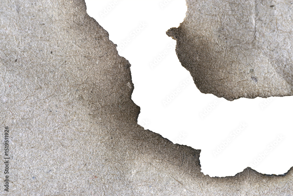 Αυτοκόλλητο Torn piece of old paper with burnt edges and aged, weathered texture on a transp