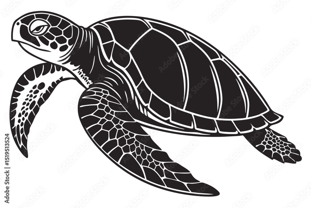 Obraz premium Sea turtle illustration graphic underwater animal marine life reptile black and white