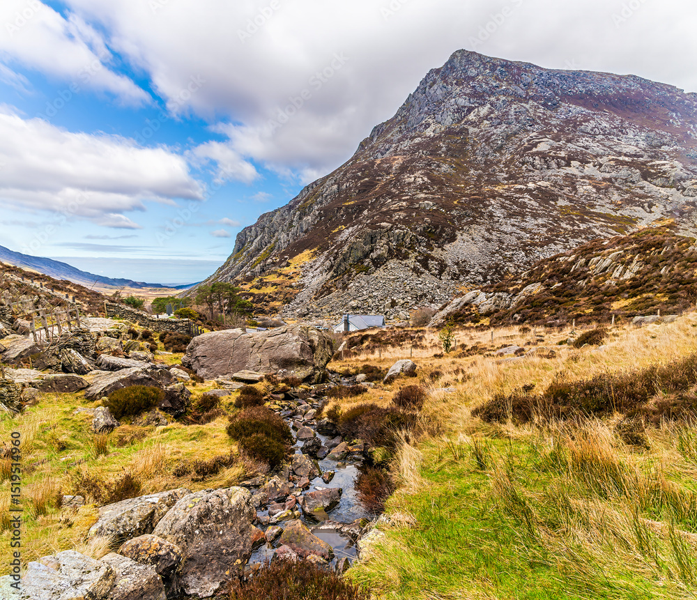 Obraz premium A view down a stream flowing from Lake Idwal in Snowdonia, Wales in springtime