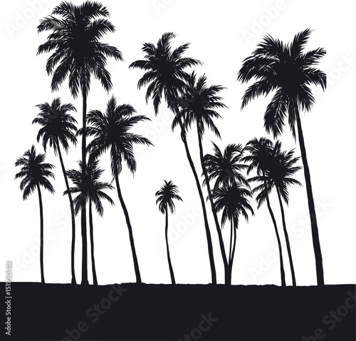 Palm Tree Silhouette Scene vector illustration
