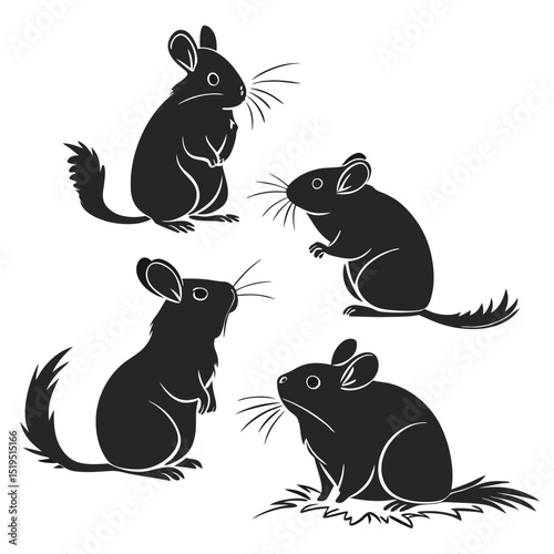 Silhouette vector illustration of chinchillas in various poses isolated on white background