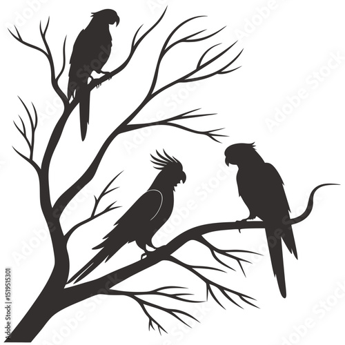 Silhouetted parrots on bare tree branches exotic bird illustrations isolated on white