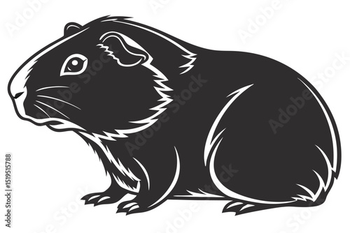 Stylized black and white guinea pig vector illustration pet rodent design
