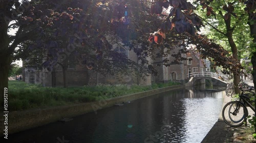 Wallpaper Mural City canal with overhanging tree at Nieuwe Church waterfront in Delft, The Netherlands. Torontodigital.ca