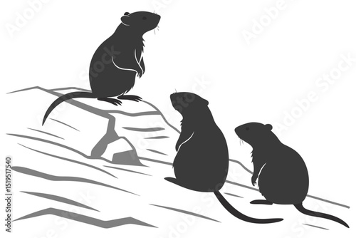 Three silhouetted rats standing on ground looking up against white background
