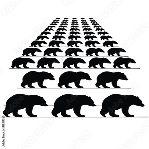 Bears organized in rows simple black and white animal theme concept