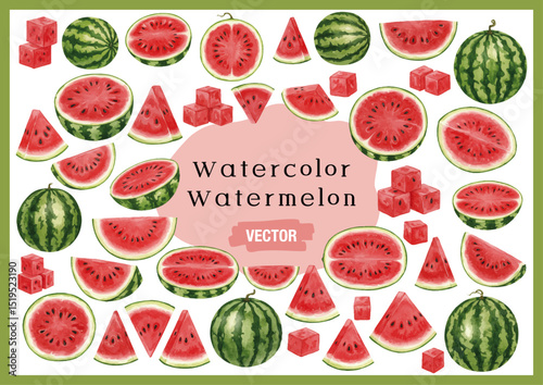 vector watercolor watermelon /水彩テイストのスイカイラスト