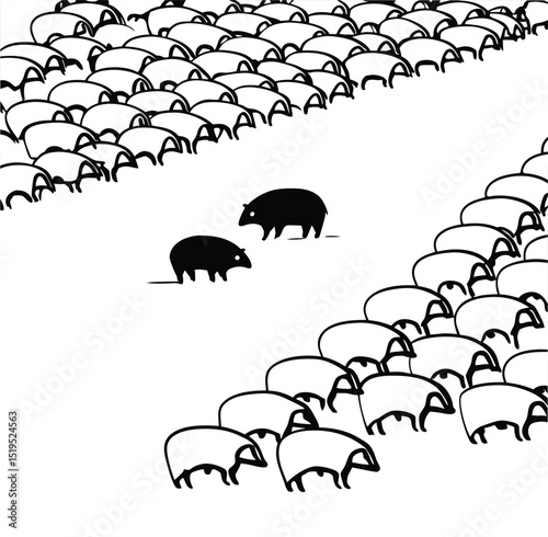 Sheep flock and individual black sheep abstract art minimalist design