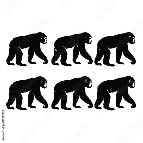Six black gorilla silhouettes walking in a row wildlife vector illustration