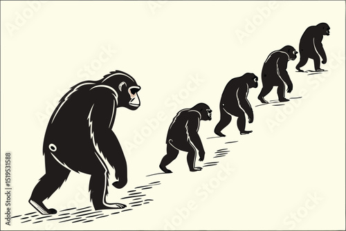 Illustration of monkeys in a row evolution concept artwork isolated
