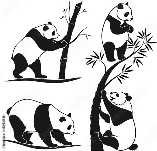 Black and white illustration of four pandas climbing and eating bamboo shoots