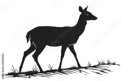 Silhouette of a doe grazing on grass a monochromatic vector illustration