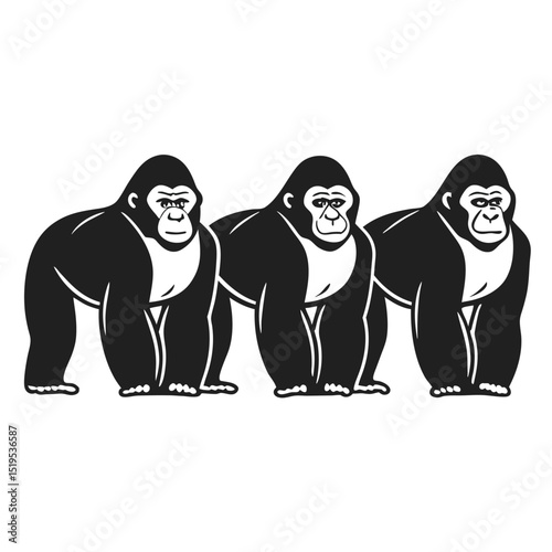 Three gorillas standing in a row black and white isolated vector illustration