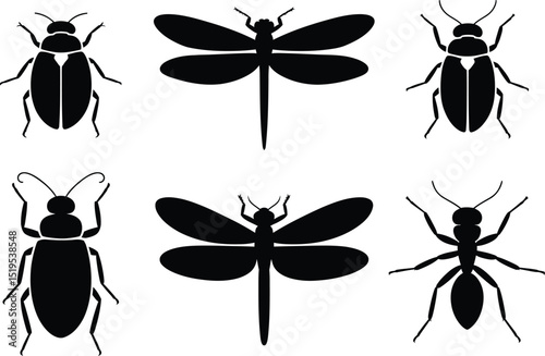 A collection of insect silhouettes featuring beetles dragonflies and an ant on a white background