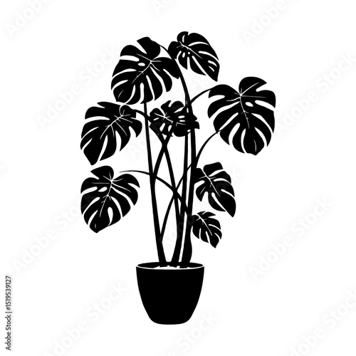 Monstera plant silhouette in pot on white background, minimalist botanical art.