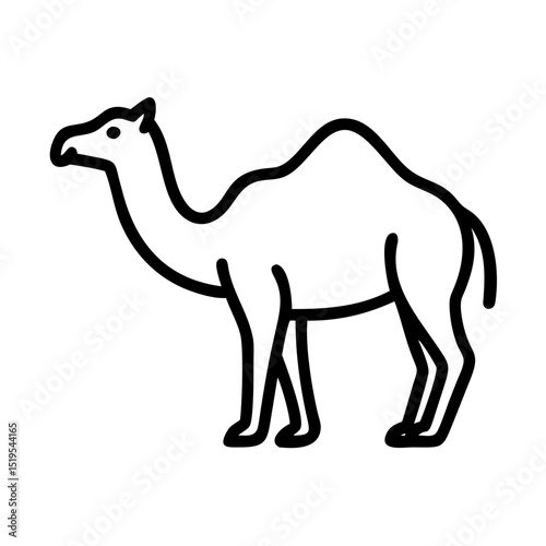 camel isolated on white