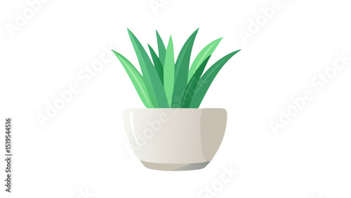 Lush green plant in a minimalist pot enhances modern home decor