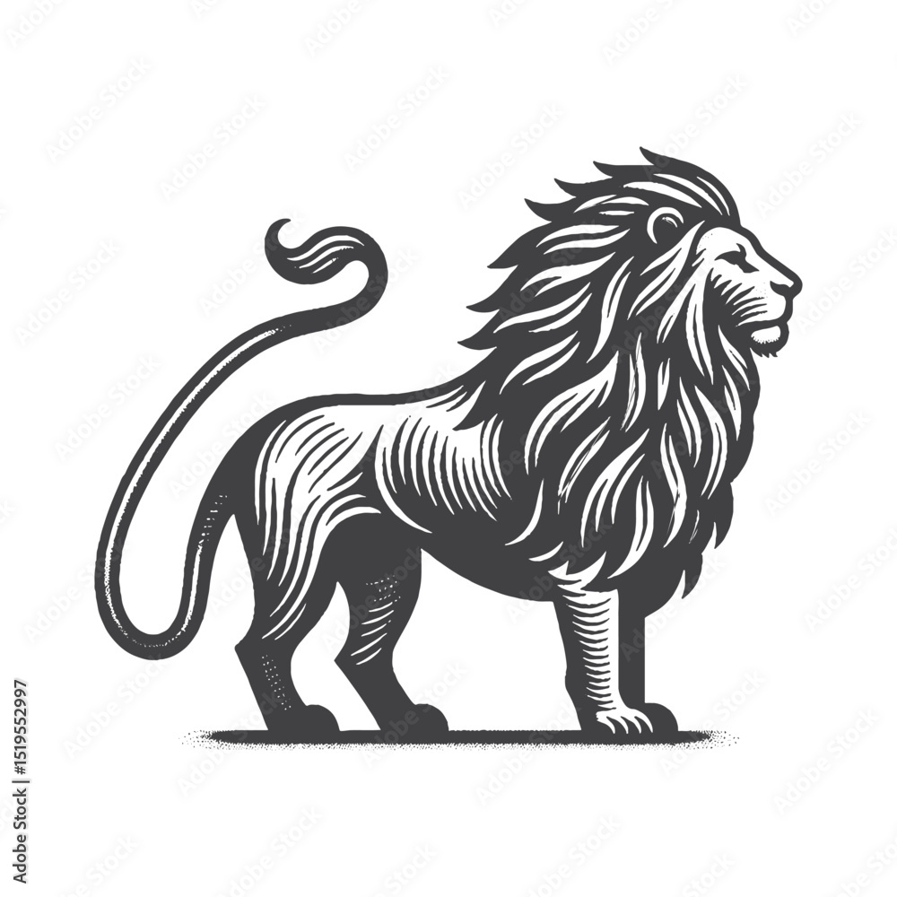Fototapeta premium Vintage Hand-Drawn African Lion Full Body Side View Illustration – Wildlife Animal Engraved Style Vector for T-Shirts, Posters, Stickers, and Safari Wildlife Themes Apparel