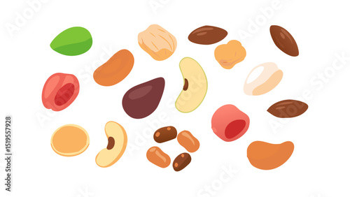 Colorful assorted nuts and seeds arranged creatively on a white background highlighting their natural textures and shapes