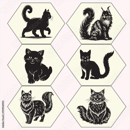 vector set of funny cats
