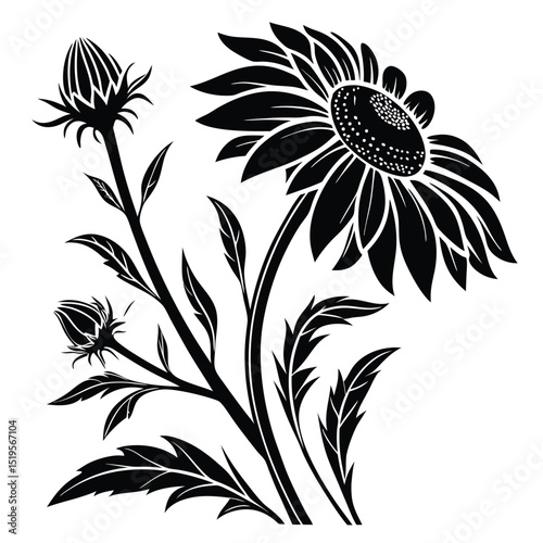 Elegant black and white illustration of a flowering plant with detailed leaves