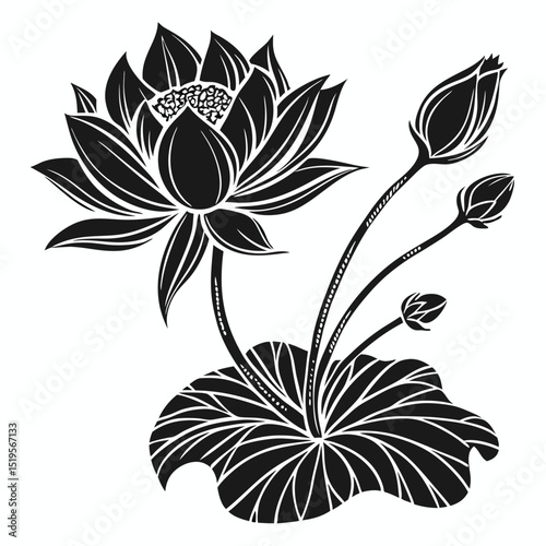 Elegant Black and White Illustration of Lotus Flower with Buds and Leaves