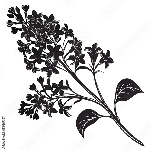 Elegant botanical illustration of a blossoming branch with delicate floral silhouettes