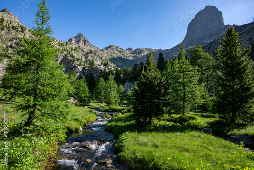 Paysage de montagne au printemps dans le parc national du Mercantour dans les Alpes-Maritimes
