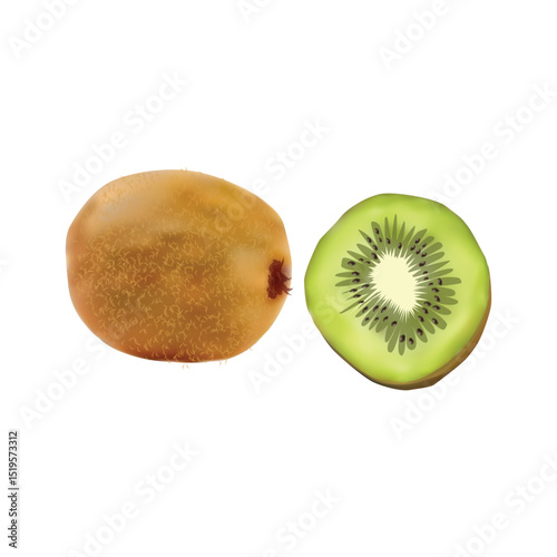 Kiwi Fruit illustration on white background vol 01