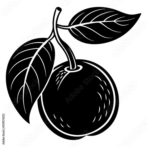 vector illustration of plums