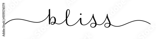 BLISS black vector brush calligraphy banner with swashes