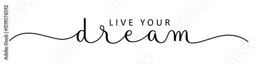 LIVE YOUR DREAM black vector brush calligraphy banner with swashes