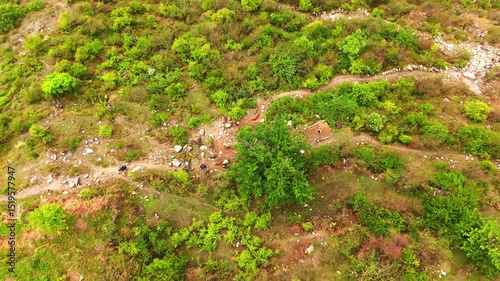 Steps Through the Wild – Drone View of Forest Hike Trail