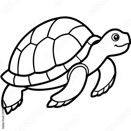 Simple Turtle Vector Illustration on White Background