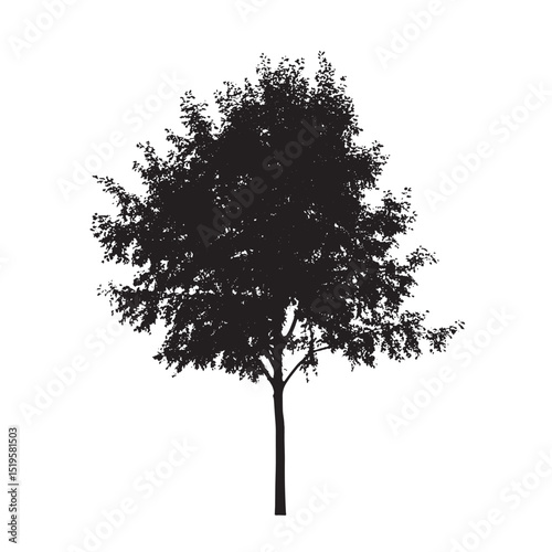 A stark tree silhouette in black, a minimalist vector illustration ready for layering and design applications.